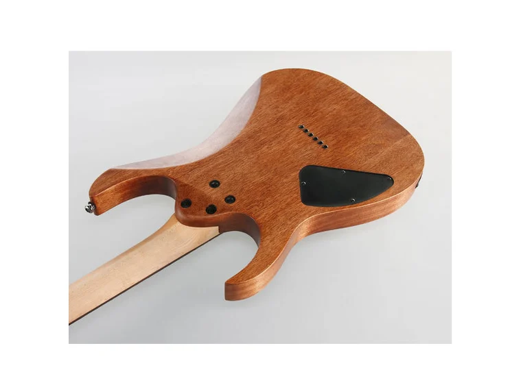 Ibanez RG421 MOL elgitar 